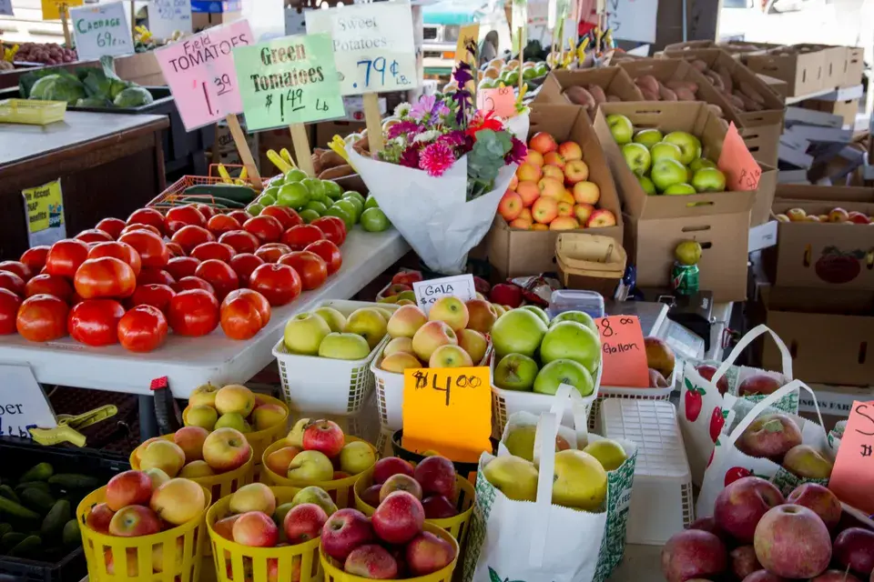 Local Spots Around East Palatka, FL in East Palatka